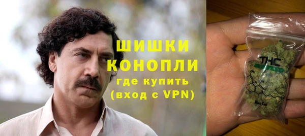 альфа пвп Новодвинск