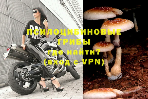 MDMA Premium VHQ Новозыбков