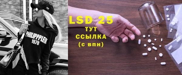 альфа пвп Новодвинск
