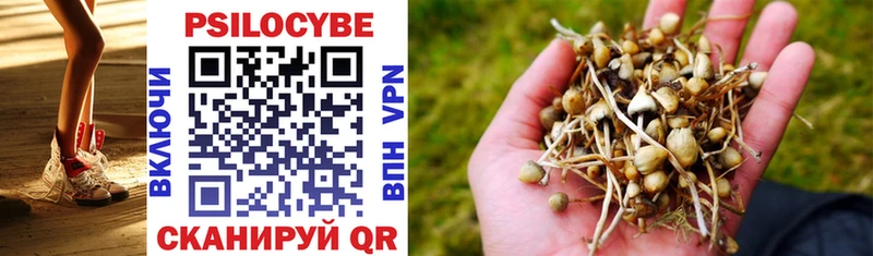 Псилоцибиновые грибы прущие грибы купить наркотик Минусинск