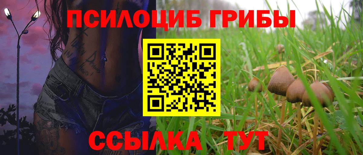 Минусинск  Псилоцибиновые грибы MAGIC MUSHROOMS  Вход с VPN 